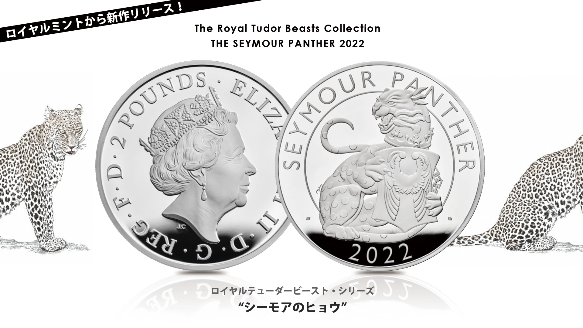 テューダービースト