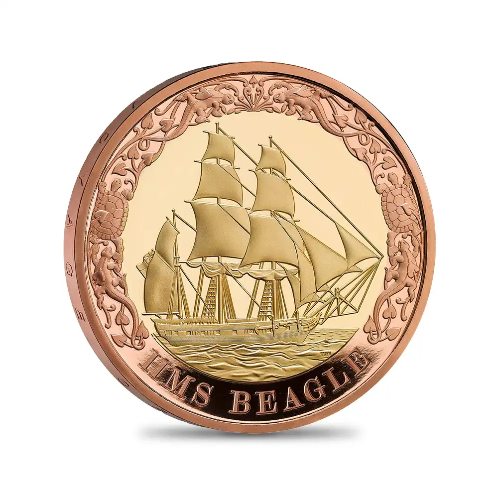 モダンコイン4：6677 2026 チャールズ3世 記念仕様 プルーフ金貨 5枚セット 未鑑定 箱付き【ご予約承り品】