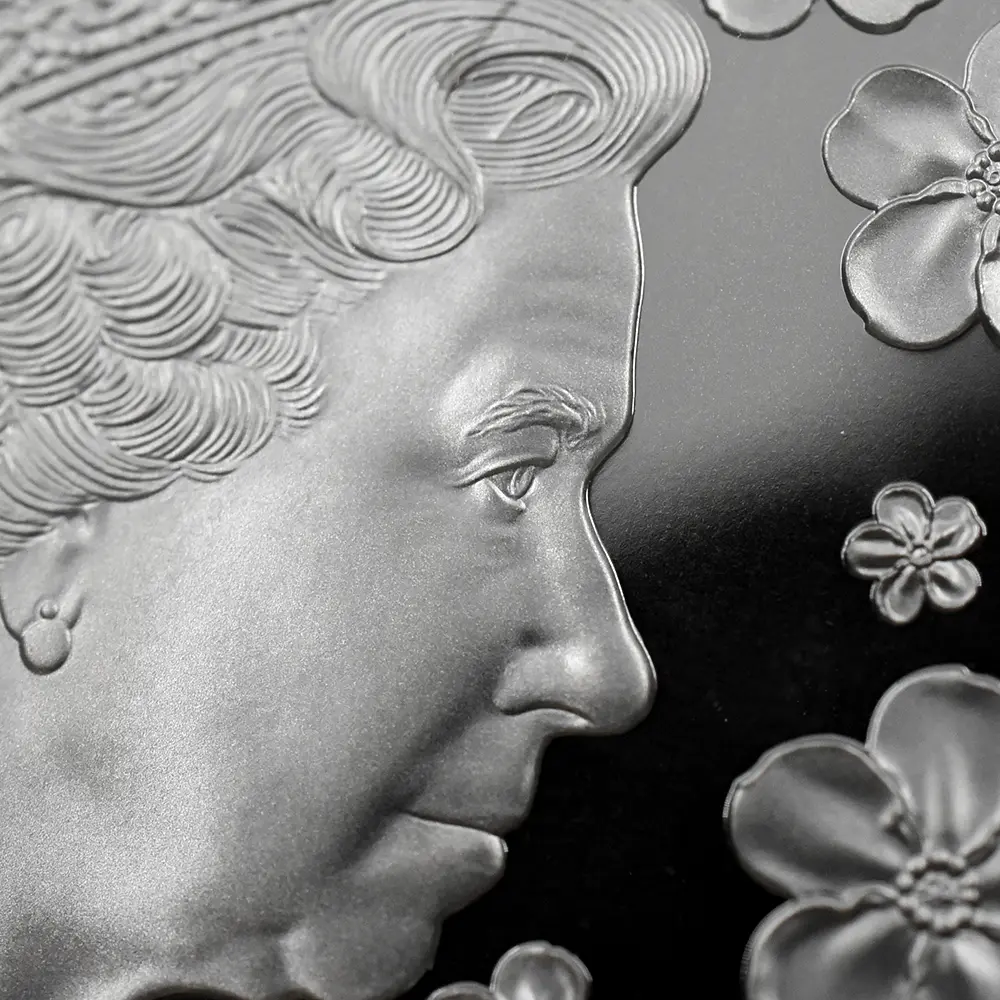 モダンコイン13：6671 ニウエ 2021 エリザベス2世 ダイアナ妃生誕60周年記念 ダイヤモンド仕様 10ドル5オンスプルーフ銀貨 未鑑定 箱付き