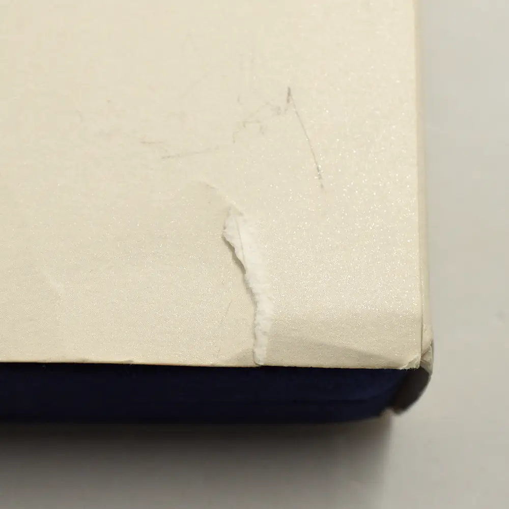 モダンコイン17：6792 イギリス 1999 エリザベス2世 ダイアナ妃追悼記念 5ポンド銀貨 NGC PF69UC 箱付き