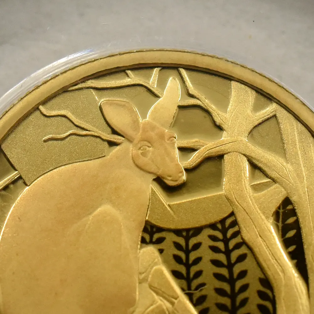 モダンコイン7：6801 オーストラリア 2022 エリザベス2世 カンガルー 10ドル 1/10オンスプルーフ金貨 未鑑定 箱付き