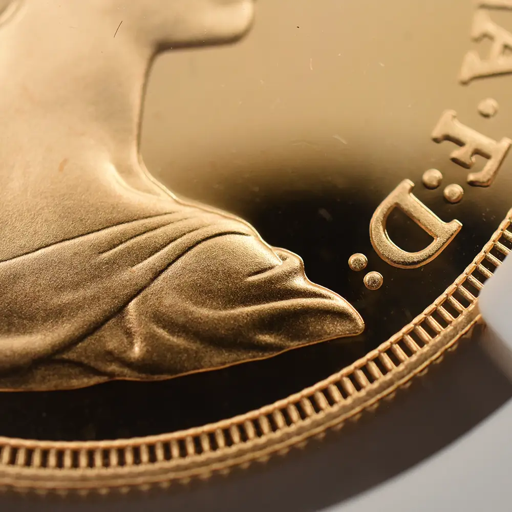 モダンコイン10：6842 1980 エリザベス2世 ヤングエリザベス 聖ジョージ竜退治 5ソブリン金貨 NGC PF70UC