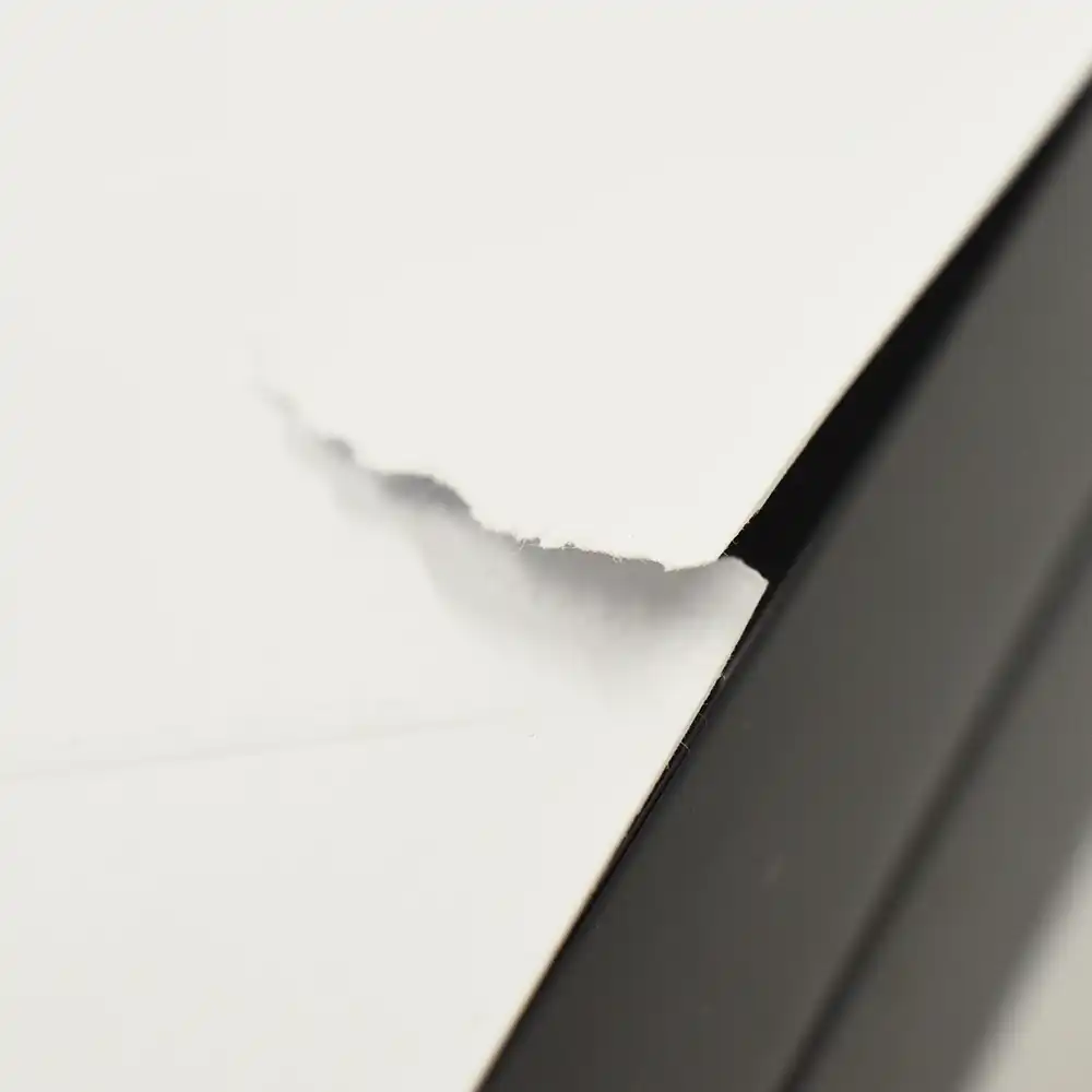 モダンコイン14：6505 フランス 2025 フランスの卓越 ランコム 50ユーロ5オンスプルーフ銀貨 未鑑定 箱付き