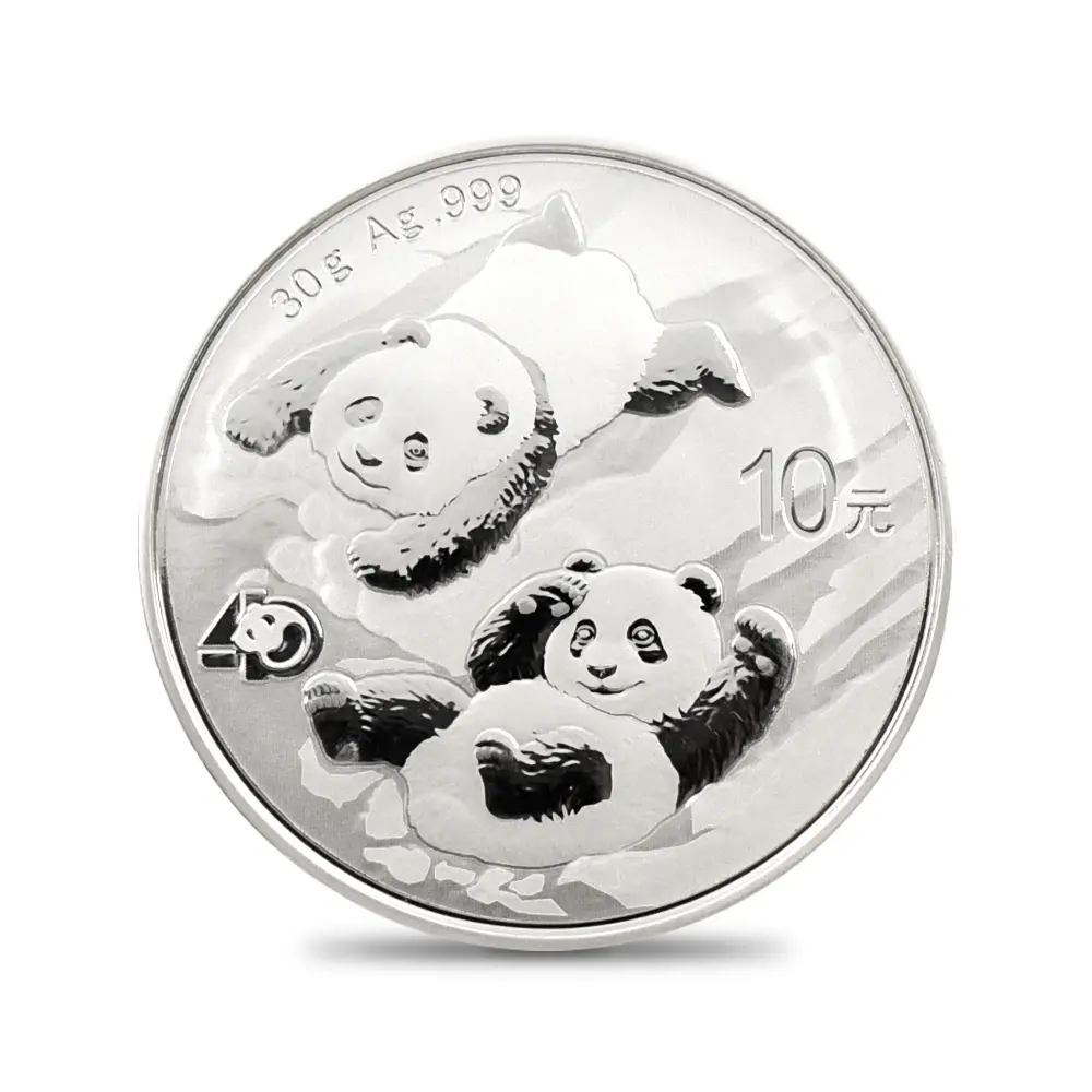 地金型16：5469 中国 2015-2024 パンダ 10元 30g 銀貨10枚セット 箱付き
