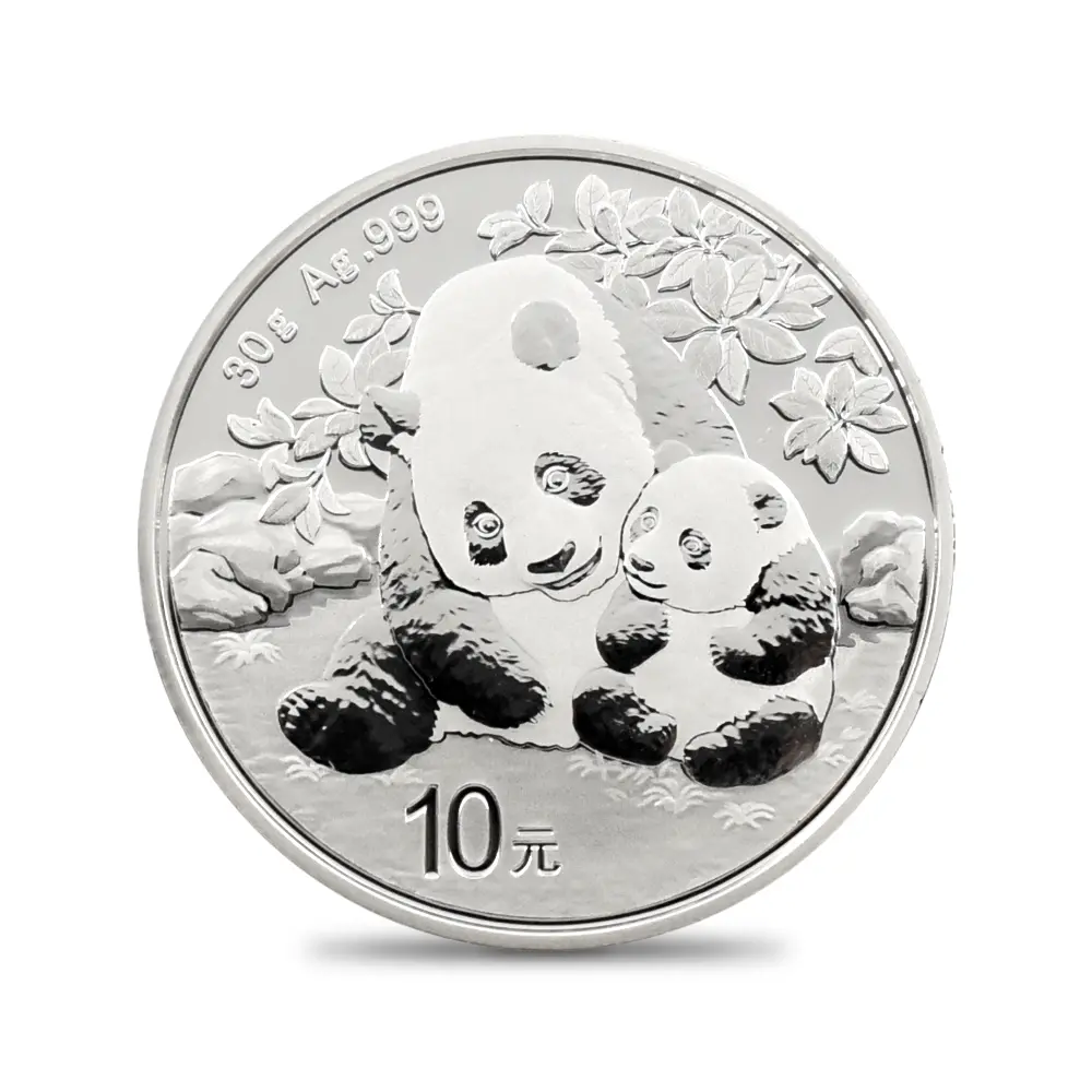 地金型20：5469 中国 2015-2024 パンダ 10元 30g 銀貨10枚セット 箱付き
