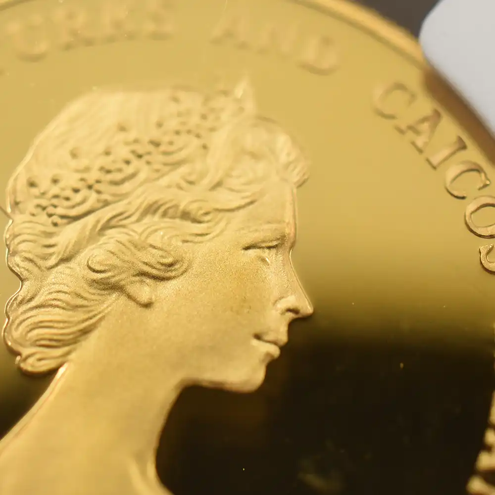 モダンコイン12：6882 タークス・カイコス諸島 1982 エリザベス2世 FIFAワールドカップ 100クラウン金貨 NGC PF69UC