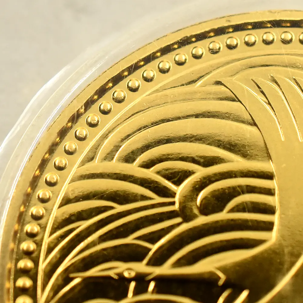 モダンコイン7：3488 日本 1993（平成5年） 皇太子殿下御成婚記念 5万円金貨 未鑑定 ブリスターパック付き