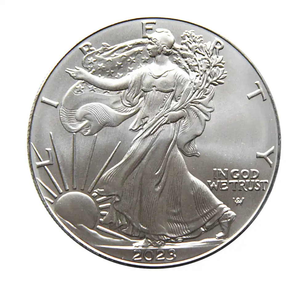 地金型2：2660 アメリカ 2023 イーグル 1ドル 1オンス 銀貨 【5枚】 (コインケース付き)