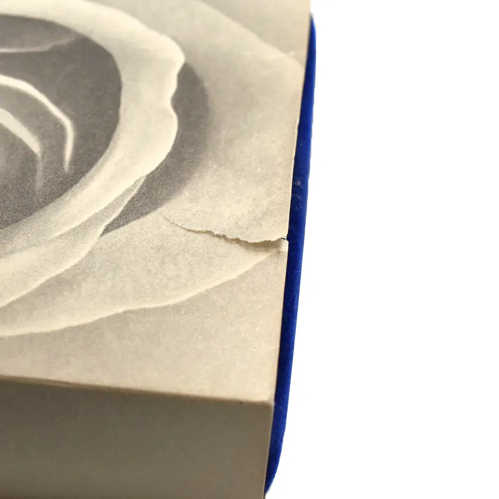 モダンコイン17：6954 イギリス 1999 エリザベス2世 ダイアナ妃追悼記念 5ポンド銀貨 NGC PF70UC 箱付き