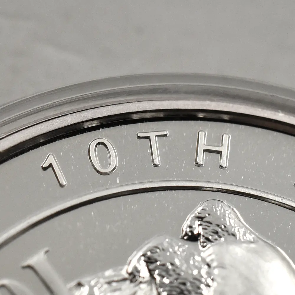 地金型7：5645 中国 2005 上海銀行10周年記念 パンダ 10元 1オンス 銀貨 【1枚】 (説明書・コインケース付き)