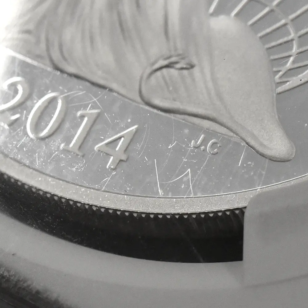 モダンコイン14:6994 イギリス 2014 エリザベス2世 ブリタニア 2ポンド1オンス銀貨 ファースト500ストラック NGC PF70UC