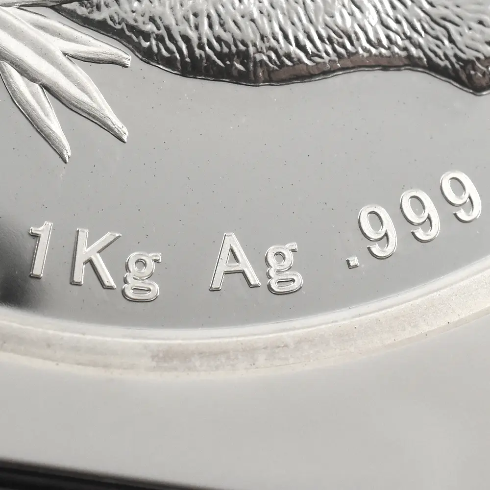 モダンコイン9:6996 中国 2007 パンダ 300元 1キロ銀貨 NGC PF69UC