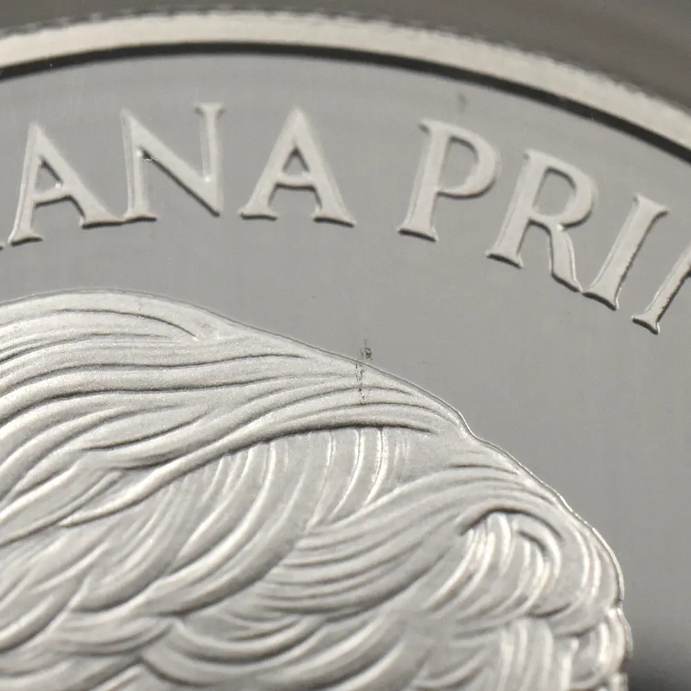 モダンコイン12：7049 イギリス 1999 エリザベス2世 ダイアナ妃追悼記念 5ポンド銀貨 NGC PF69UC 箱付き