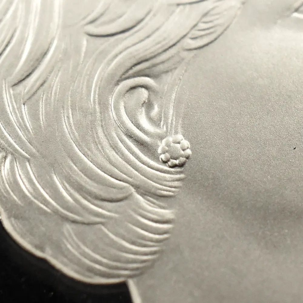 モダンコイン11：7057 イギリス 1999 エリザベス2世 ダイアナ妃追悼記念 5ポンド銀貨 PCGS PR69DC S-L6 箱付き