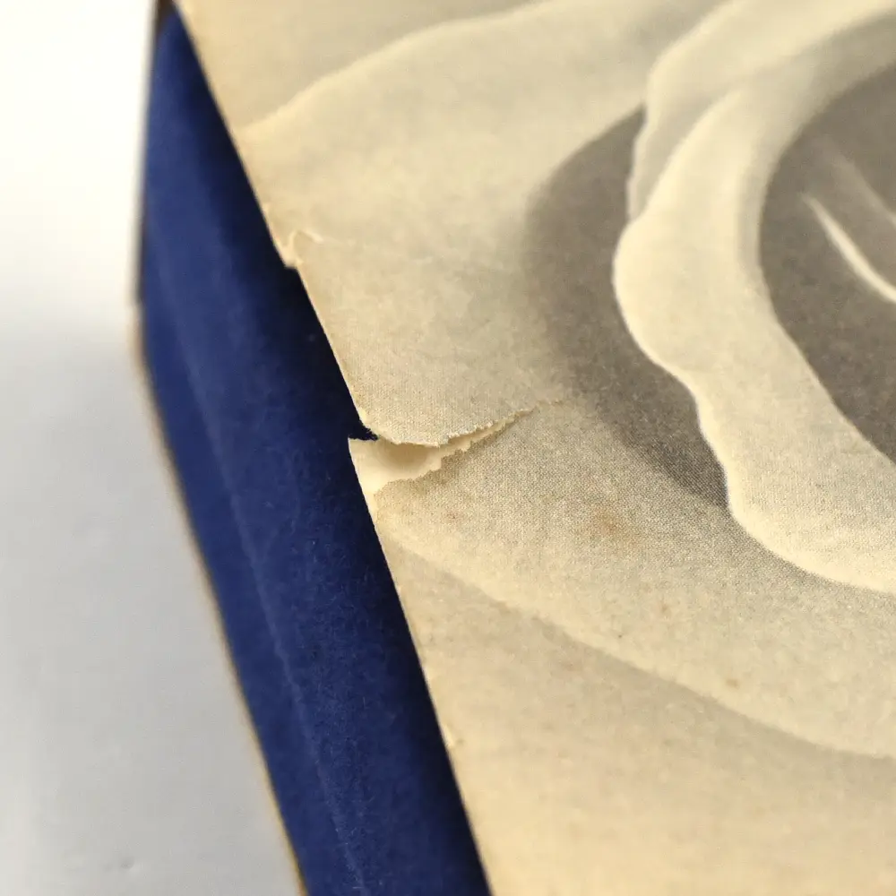 モダンコイン17：7044 イギリス 1999 エリザベス2世 ダイアナ妃追悼記念 5ポンド銀貨 NGC PF69UC 箱付き