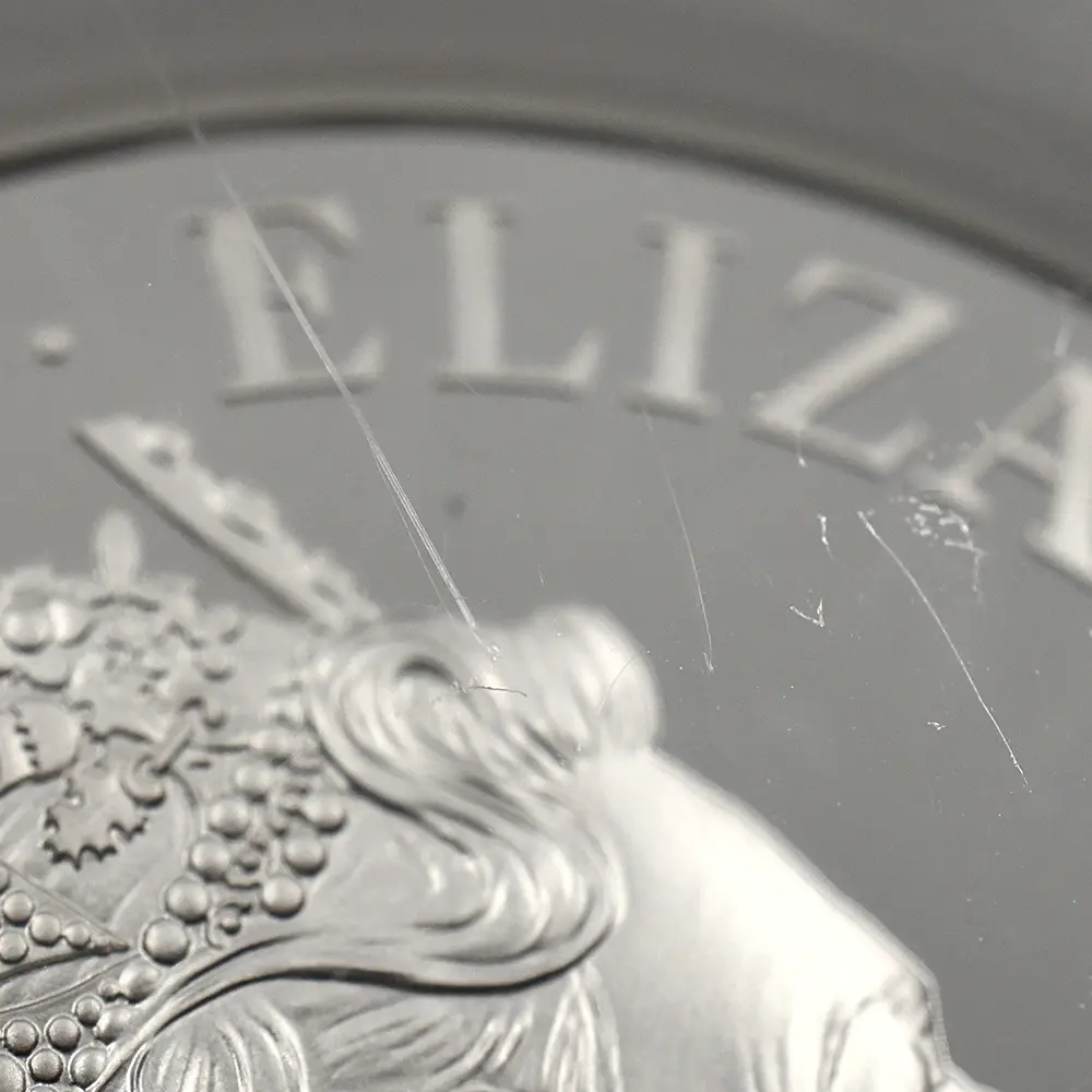 モダンコイン13:7085 イギリス 2017 エリザベス2世 クイーンズビースト イングランドのライオン 10ポンド 5オンス 銀貨 ファースト1000ストラック NGC PF70UC