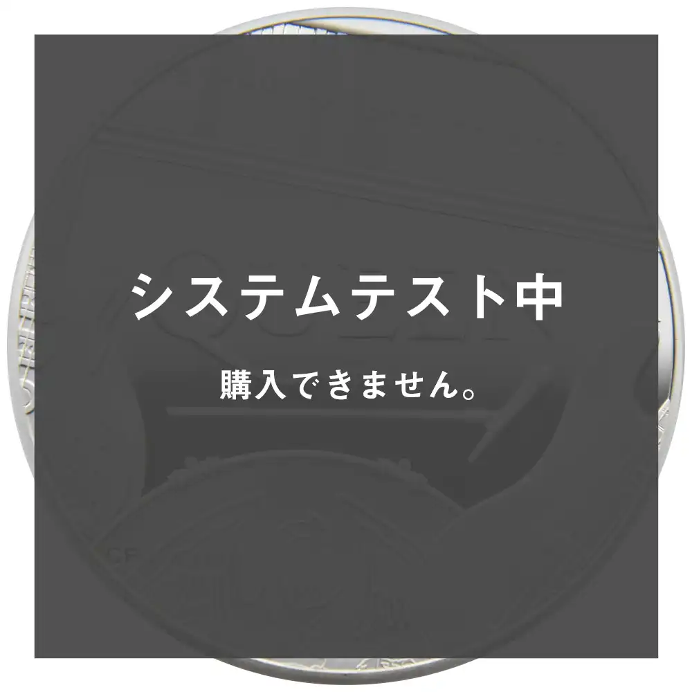 2：2857 【31】【システムテスト中】 ※購入できません