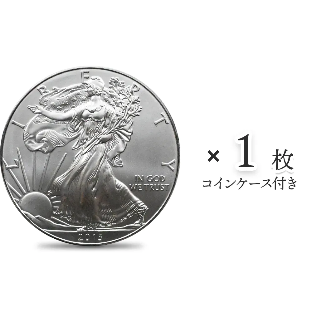 地金型1：4395 アメリカ 2013 イーグル 1ドル 1オンス 銀貨 【1枚】 (コインケース付き)
