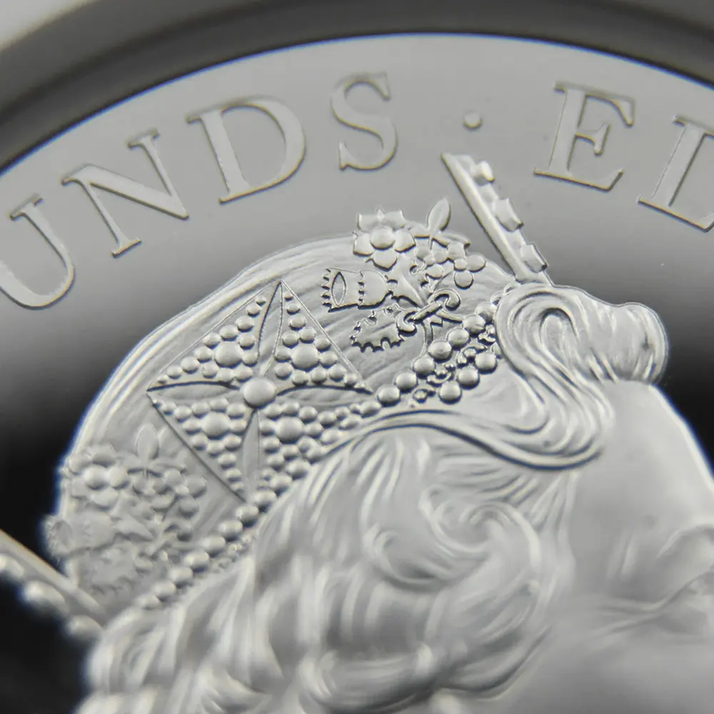 モダンコイン14:7125 イギリス 2019 エリザベス2世 ウナ&ライオン 5ポンド2オンス銀貨 NGC PF68UC 箱付き