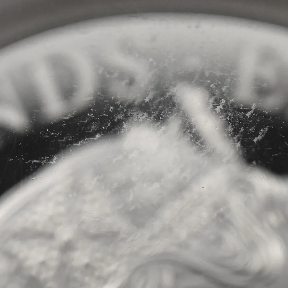 モダンコイン15：7127 イギリス 2019 エリザベス2世 ウナ＆ライオン 5ポンド2オンス銀貨 NGC PF69UC 箱付き