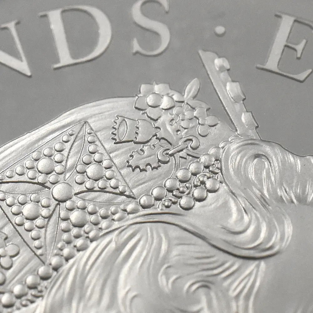 モダンコイン13：7128 イギリス 2019 エリザベス2世 ウナ＆ライオン 5ポンド2オンス銀貨 NGC PF69UC エリザベス2世ラベル 箱付き