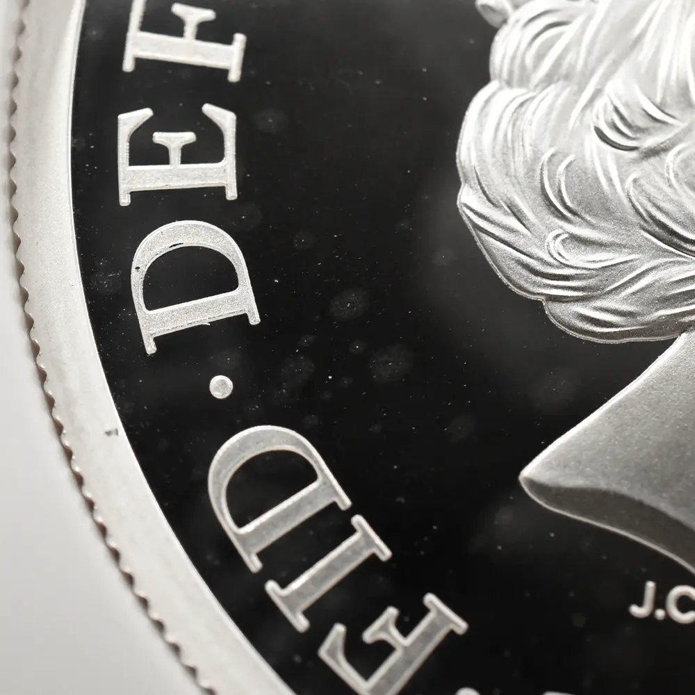 モダンコイン15：7128 イギリス 2019 エリザベス2世 ウナ＆ライオン 5ポンド2オンス銀貨 NGC PF69UC エリザベス2世ラベル 箱付き