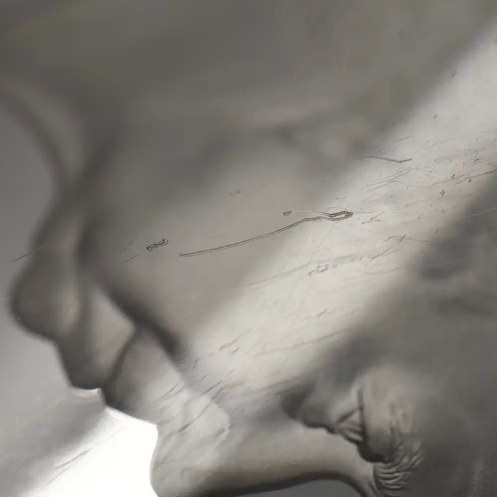 モダンコイン12：7115 イギリス 2014 エリザベス2世 ブリタニア ハイレリーフ 10ポンド5オンス銀貨 ファースト750ストラック NGC PF70UC