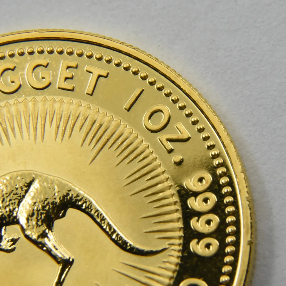 地金型5：4422 オーストラリア 1990 エリザベス2世 カンガルー 100ドル 1オンス 金貨【1枚】 (コインケース付き)