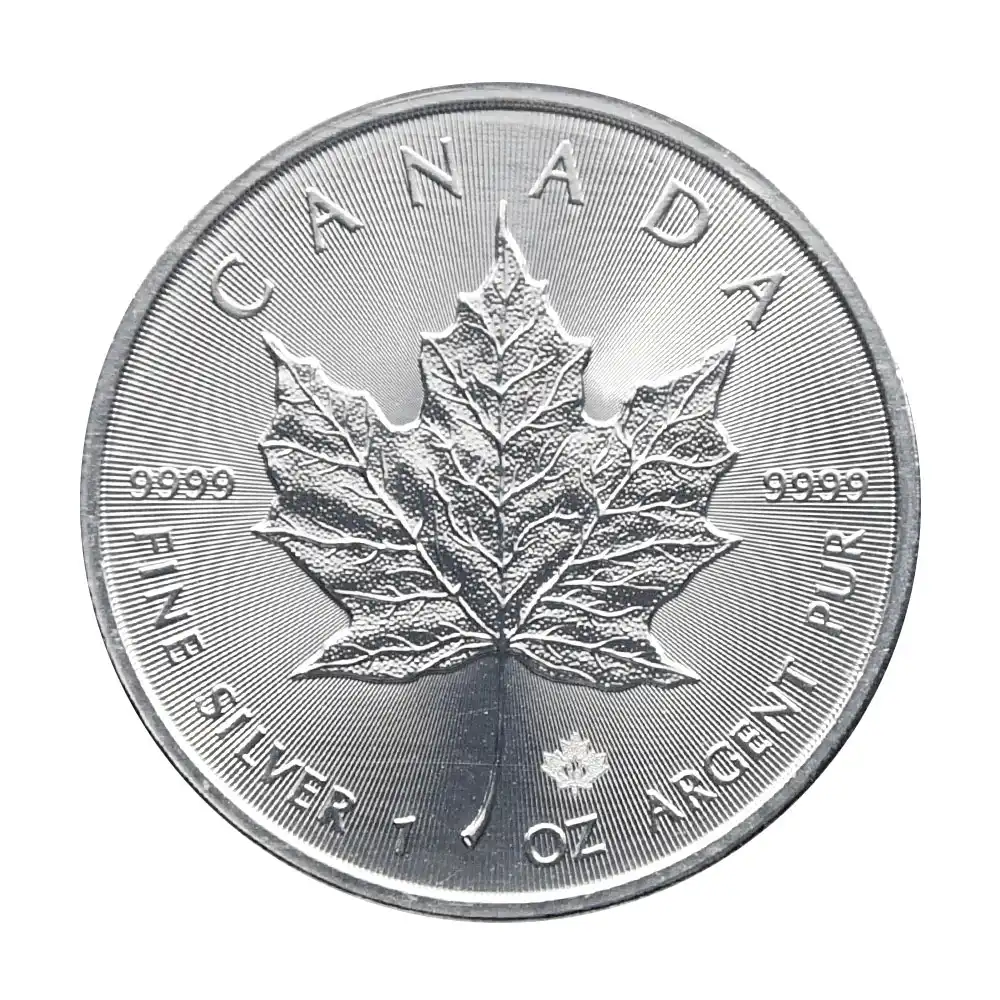 地金型2：2955 カナダ 2019 メイプルリーフ 5ドル 1オンス 銀貨 【1枚】
