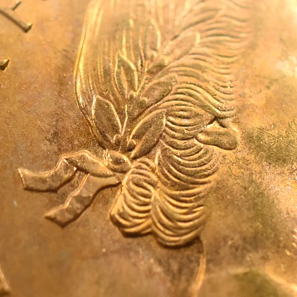 モダンコイン8：5918 1963 エリザベス2世 ヤングヤング 聖ジョージ竜退治 ソブリン金貨 PCGS MS65 S-4125