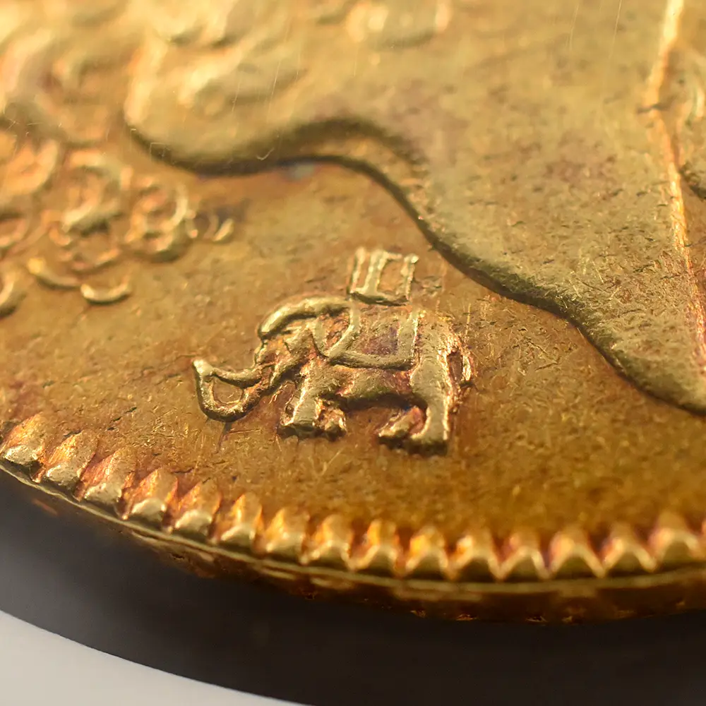 アンティークコイン10：5955 1676 チャールズ2世 5ギニー金貨 エレファント＆キャッスル刻印 NGC AU50