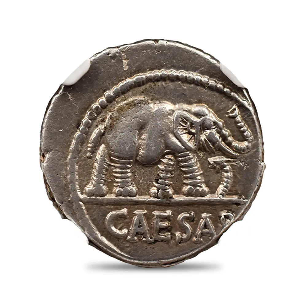 古代コイン2：6020 古代ローマ帝国 紀元前49-48 カエサル 蛇を踏む象 デナリウス銀貨 NGC Ch XF Strike: 4/5 Surface: 4/5