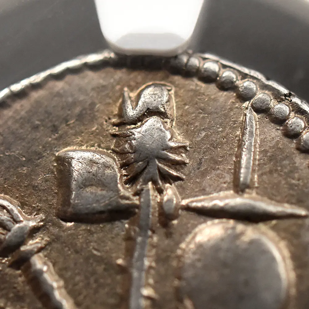 古代コイン11：6020 古代ローマ帝国 紀元前49-48 カエサル 蛇を踏む象 デナリウス銀貨 NGC Ch XF Strike: 4/5 Surface: 4/5