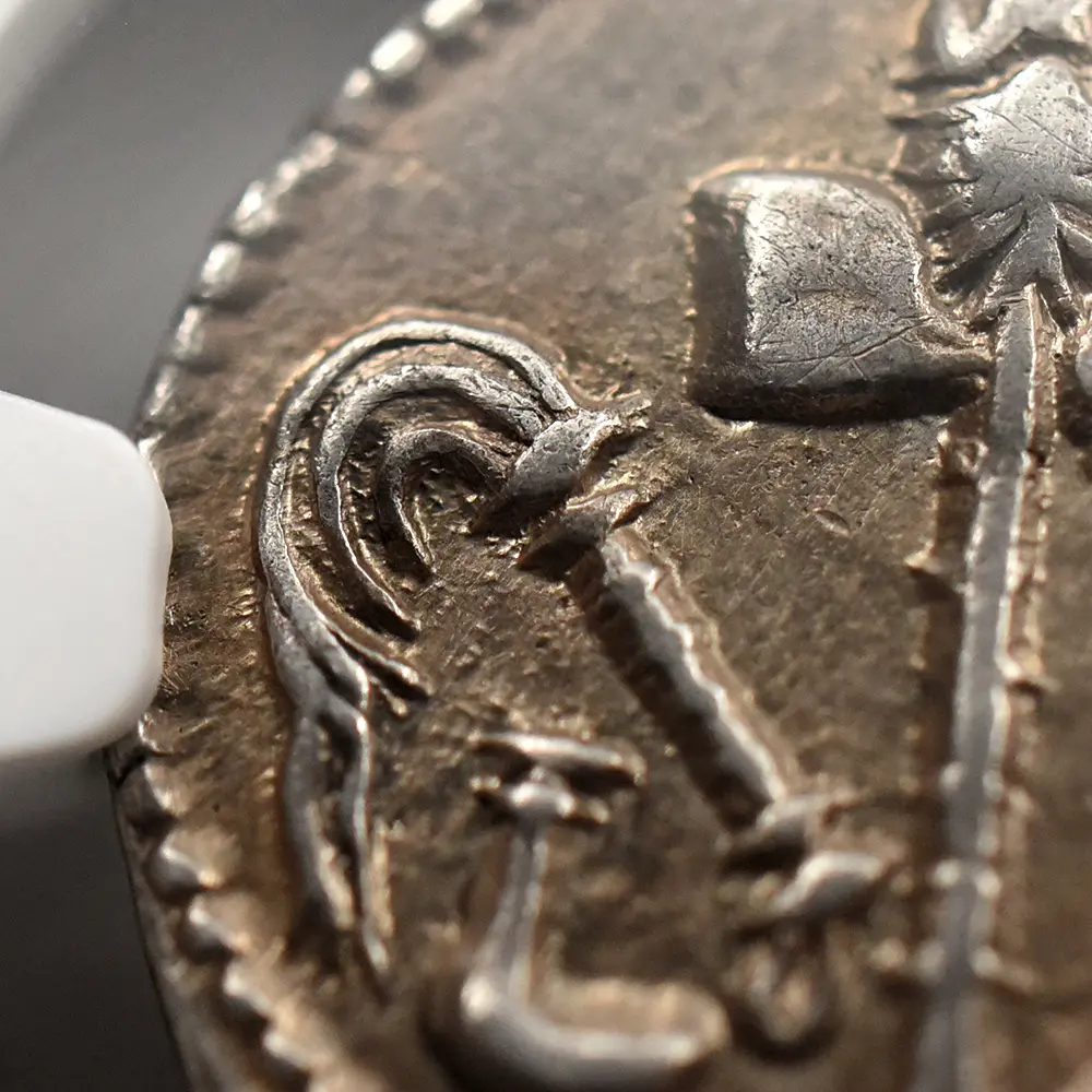 古代コイン12：6020 古代ローマ帝国 紀元前49-48 カエサル 蛇を踏む象 デナリウス銀貨 NGC Ch XF Strike: 4/5 Surface: 4/5