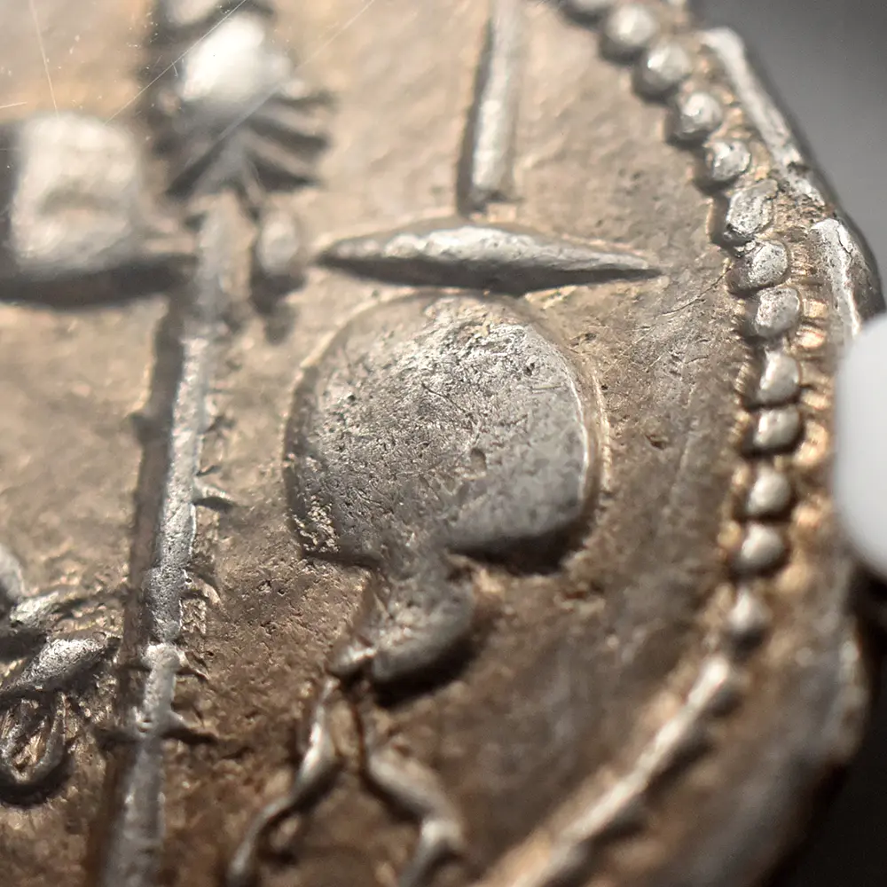 古代コイン13：6020 古代ローマ帝国 紀元前49-48 カエサル 蛇を踏む象 デナリウス銀貨 NGC Ch XF Strike: 4/5 Surface: 4/5