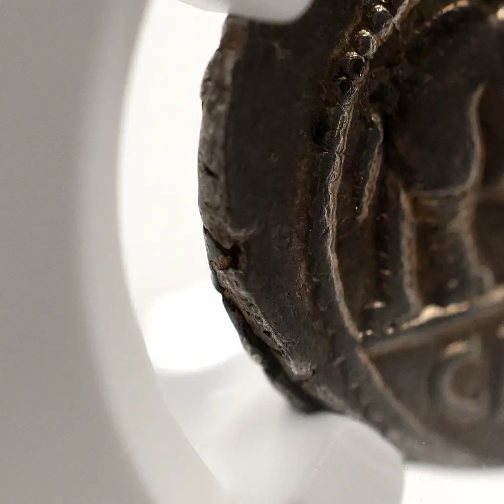 古代コイン14：6020 古代ローマ帝国 紀元前49-48 カエサル 蛇を踏む象 デナリウス銀貨 NGC Ch XF Strike: 4/5 Surface: 4/5