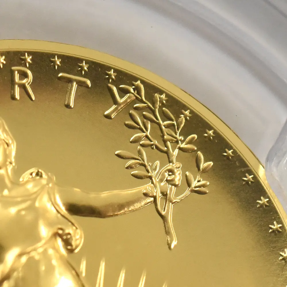 モダンコイン9：6057 アメリカ 2009 ウルトラ ハイレリーフ ダブルイーグル 20ドル 金貨 PCGS MS70