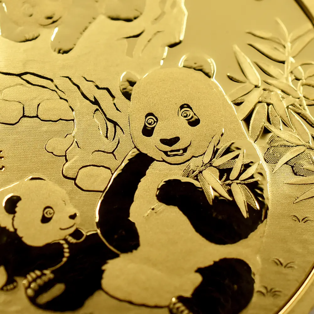地金型5：6115 中国 2025 パンダ 500元 30グラム 金貨 【10枚】