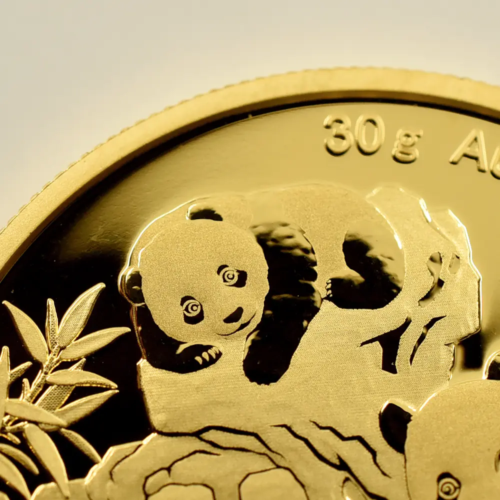 地金型7：6115 中国 2025 パンダ 500元 30グラム 金貨 【10枚】