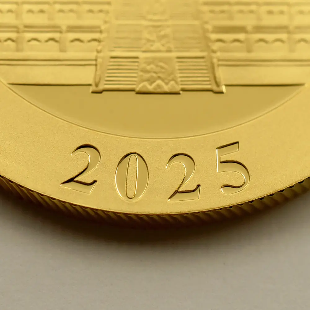 地金型9：6115 中国 2025 パンダ 500元 30グラム 金貨 【10枚】