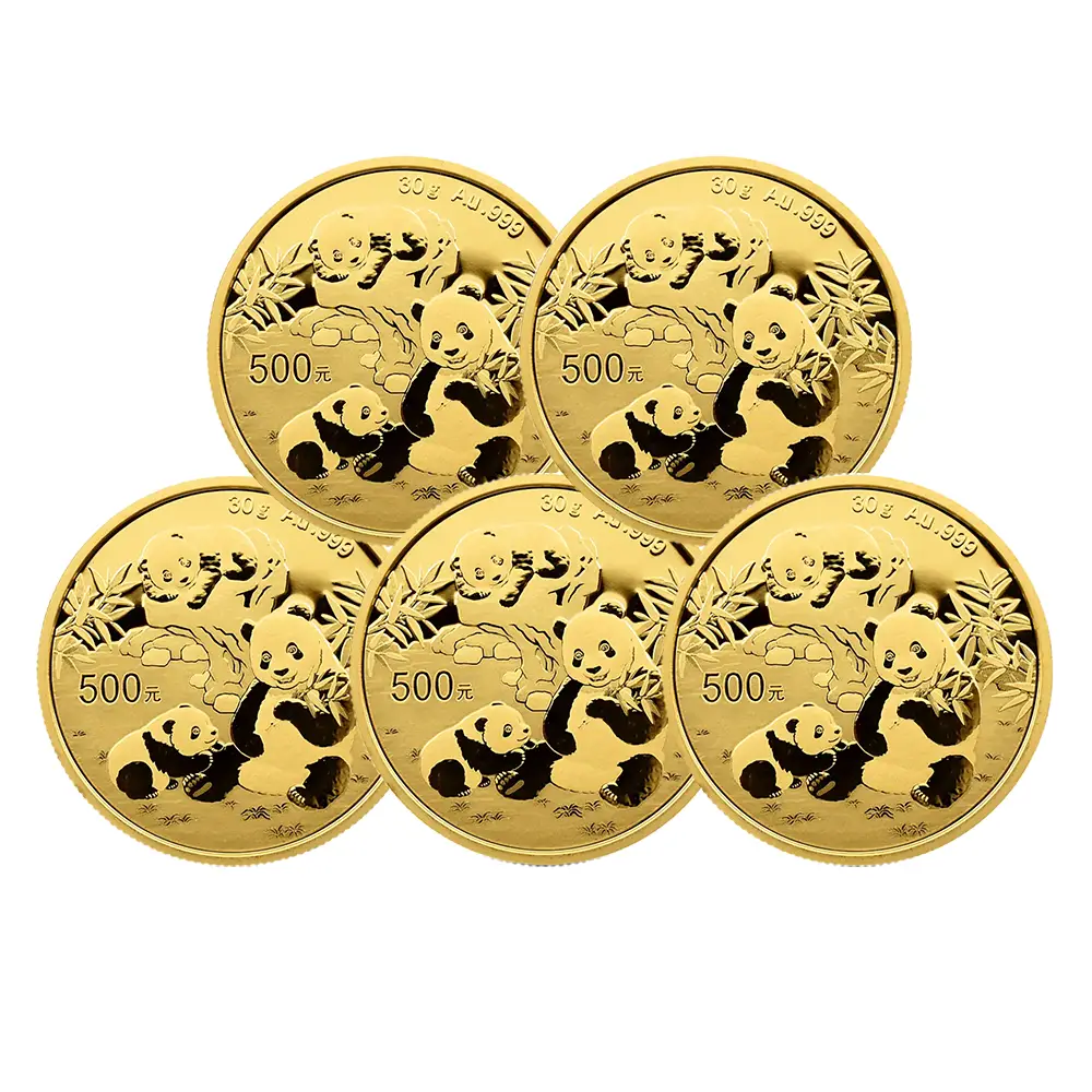 地金型2：6114 中国 2025 パンダ 500元 30グラム 金貨 【5枚】