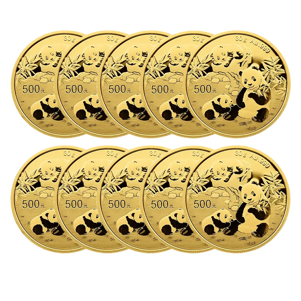 地金型2：6115 中国 2025 パンダ 500元 30グラム 金貨 【10枚】