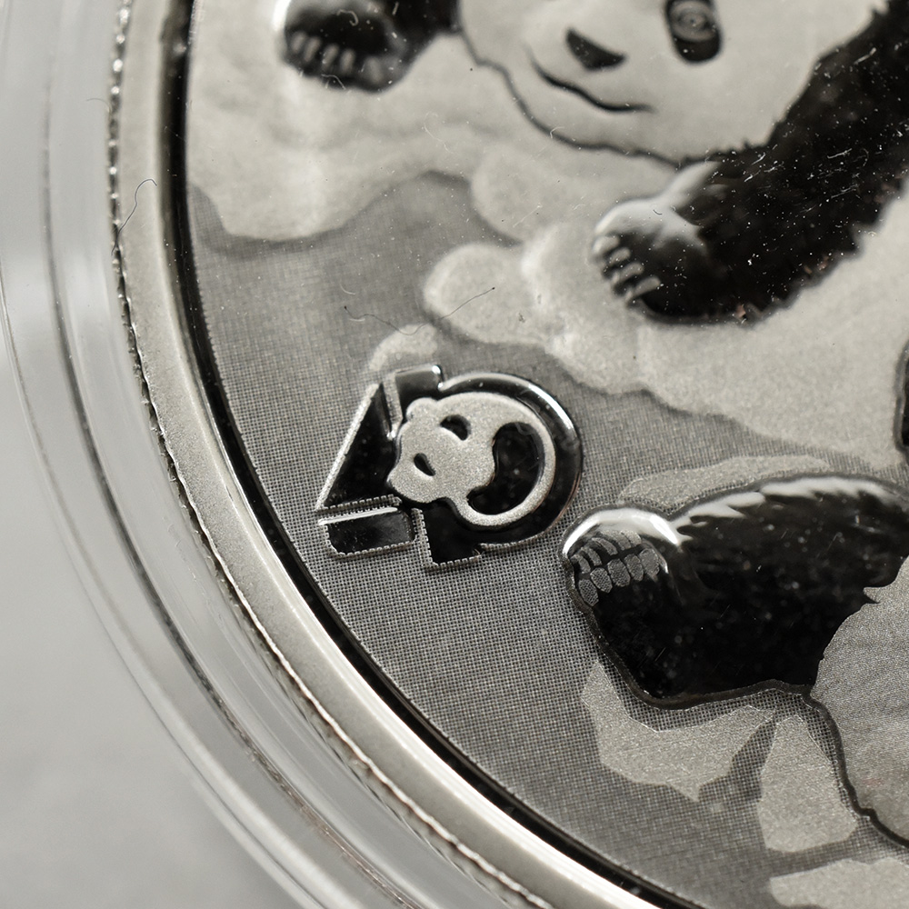 地金型7：1976 中国 2022 パンダ 10元 30g 銀貨 【1枚】 (コインケース付き)