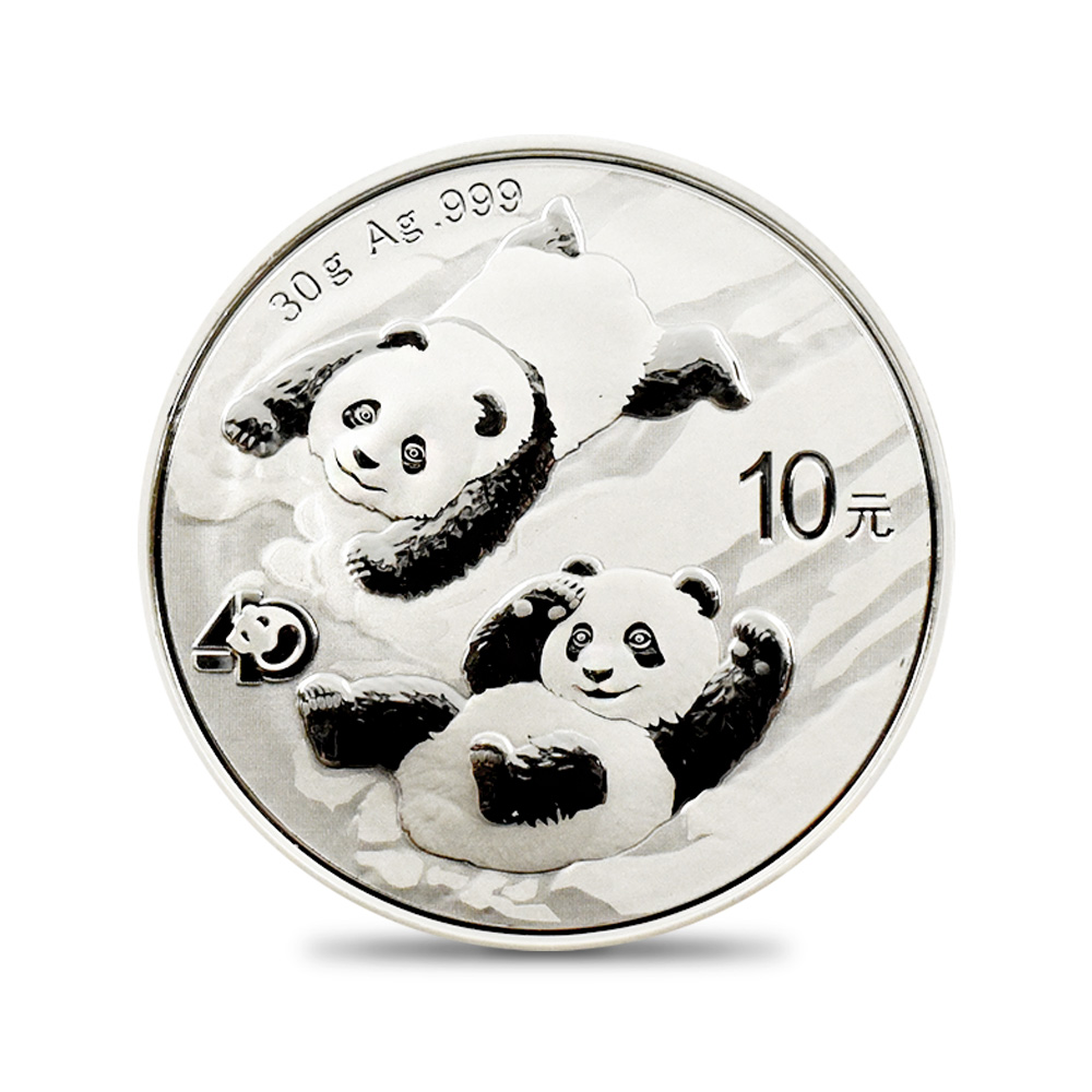 地金型2：2028 中国 2022 パンダ 10元 30g 銀貨 【5枚】 (コインケース付き)