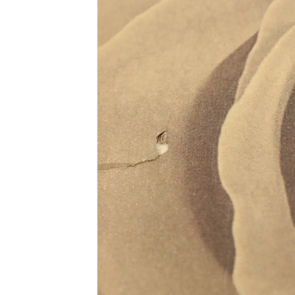 モダンコイン17：6198 1999 エリザベス2世 ダイアナ妃追悼記念 5ポンド銀貨 NGC PF69UC 箱付き