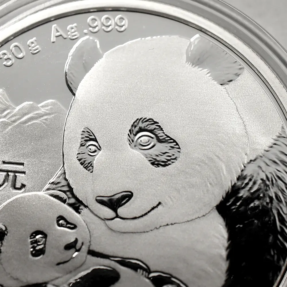 地金型25：6313 中国 2012-2021 パンダ 10元 30g 銀貨10枚セット 箱付き