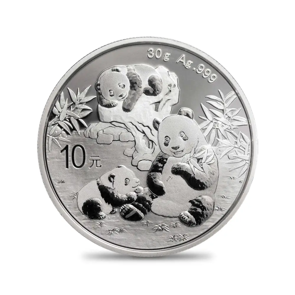 地金型20：6314 中国 2016-2025 パンダ 10元 30g 銀貨10枚セット 箱付き