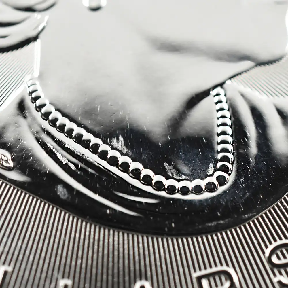 地金型12：1917 カナダ 2022 メイプルリーフ 5ドル 1オンス 銀貨 【1枚】 (コインケース付き)