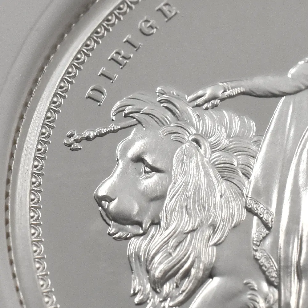 モダンコイン10：6336 2019 エリザベス2世 ウナ＆ライオン 5ポンド2オンス銀貨 NGC PF69UC 箱付き