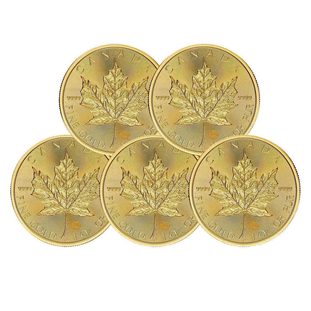 地金型2：6364 【R-TRUST様専用・2500円割引後価格】 カナダ 2025 チャールズ3世 メイプルリーフ 50ドル 1オンス 地金型金貨 【5枚】 (コインケース付き)